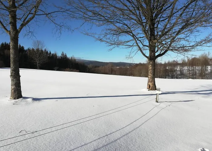 Fahrenbach-alm Apartmán